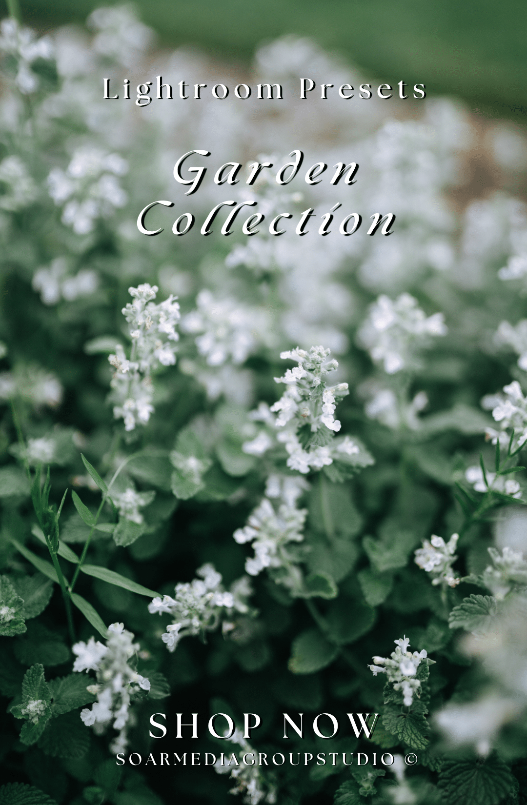 Garden Collection Lightroom Presets